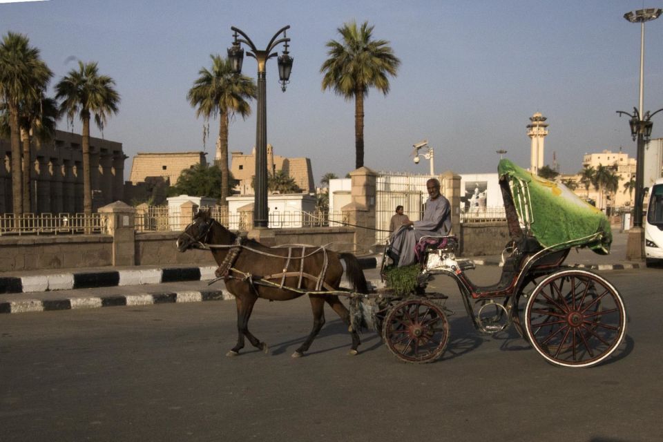 Luxor: City Tour by Horse Carriage From the East Bank - Customer Reviews