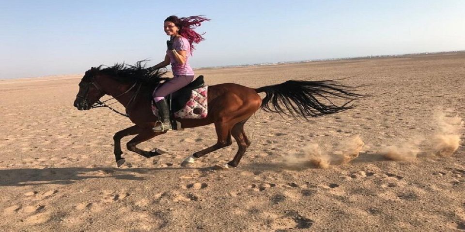 Luxor: Scenic Camel or Horse Ride - Customer Feedback