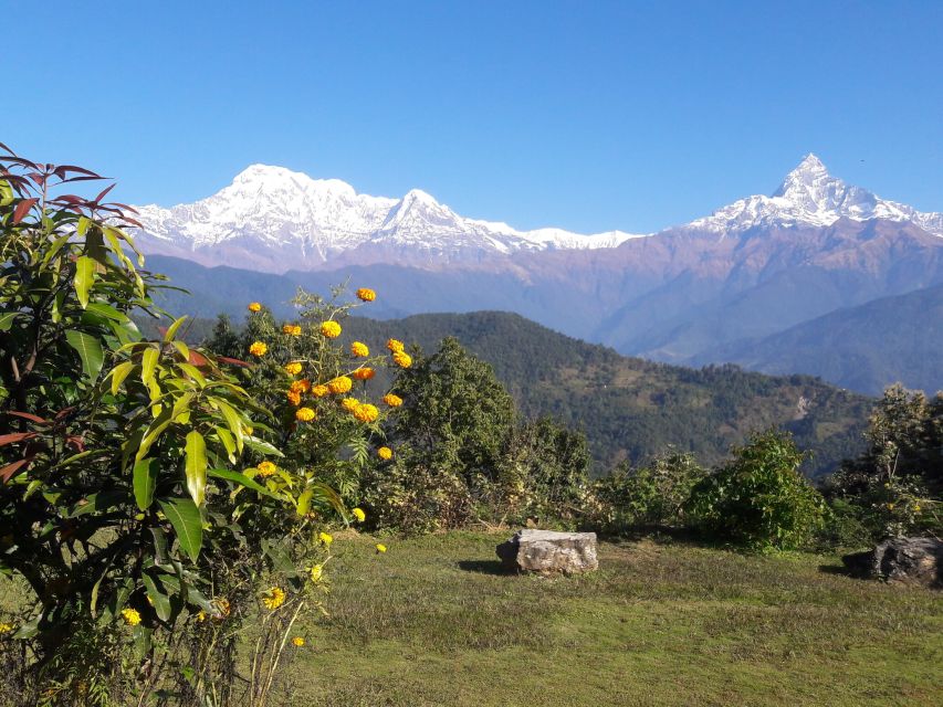 Luxury Excursion: Chitwan and Pokhara - Last Words