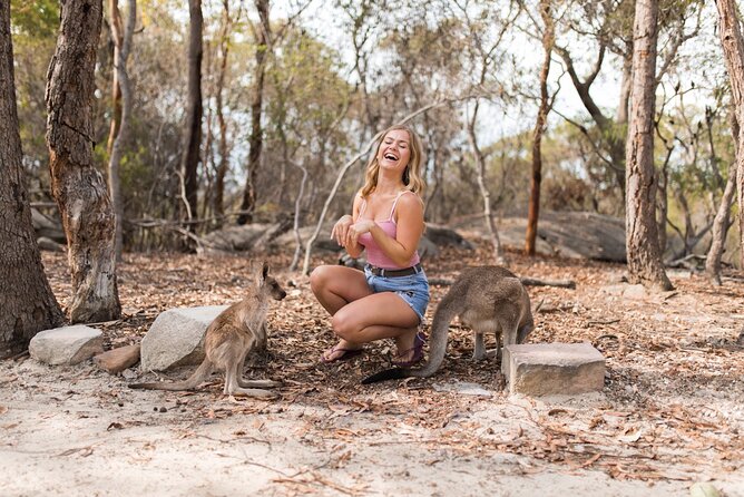 Luxury Hunter Valley Wildlife & Wine Tasting Tour From Sydney - Testimonials and Photos