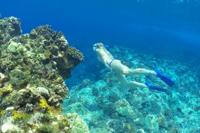 Luxury Kona Coast Snorkel Tour Including Lunch - Traveler Recommendations