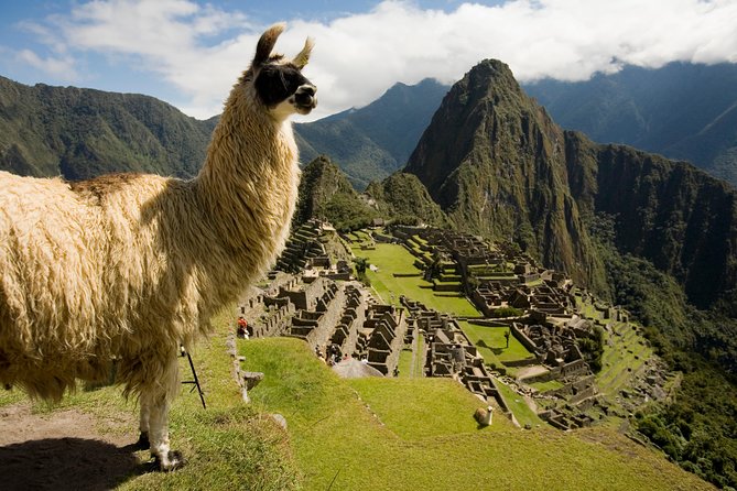 Machu Picchu Private Guided Tour From Aguas Calientes - Private Guided Tour Inclusions