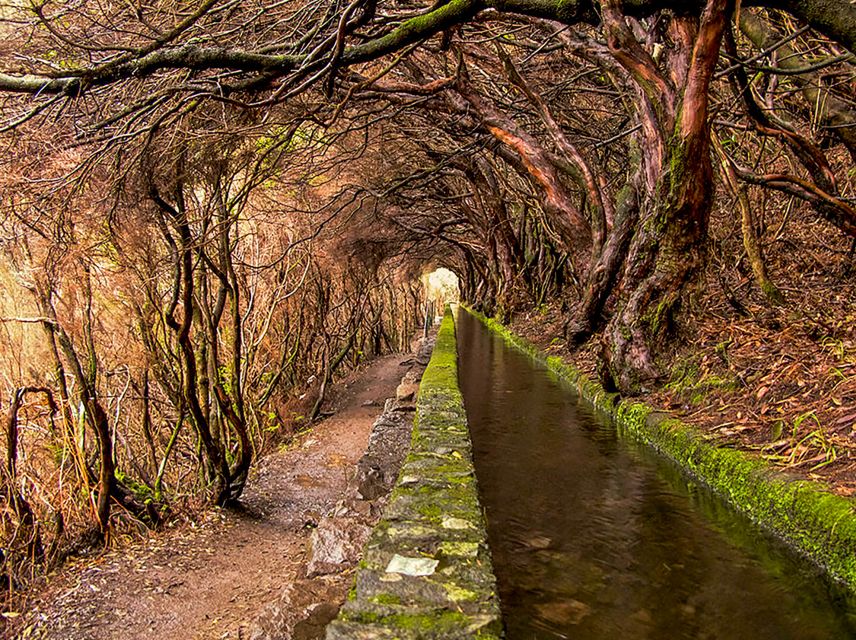 Madeira Day Trip: Levada Walk in the Rabaçal Valley - Additional Information