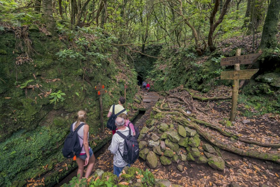 Madeira: Full-Day Laurel Forest Guided Walking Tour - Last Words