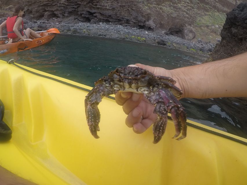 Madeira: Garajau Nature Reserve Kayak and Snorkel Tour - Additional Information