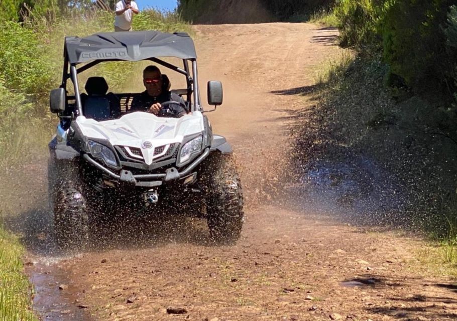 Madeira: Half-Day Off-Road Buggy Tour - Booking Information and Flexibility