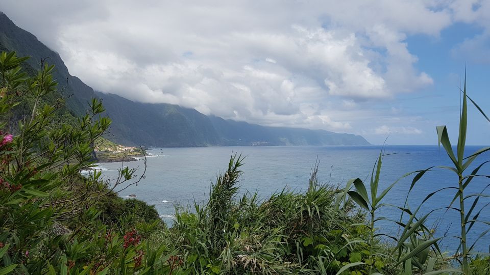 Madeira: Private North Island Tour - Customer Reviews & Recommendations