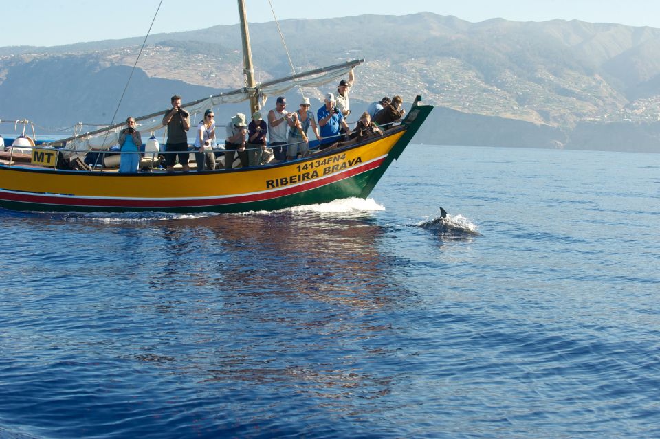 Madeira: Whale Watching Excursion in a Traditional Vessel - Highlights of the Experience