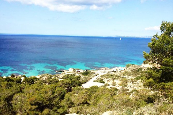 Mallorca: Try Scuba Diving in a Beautiful Nature Reserve - Common questions