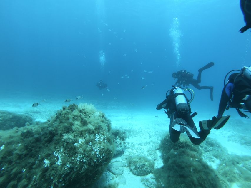 Malta: St. Paul's Bay 1 Day Scuba Diving Course - Price and Booking Details
