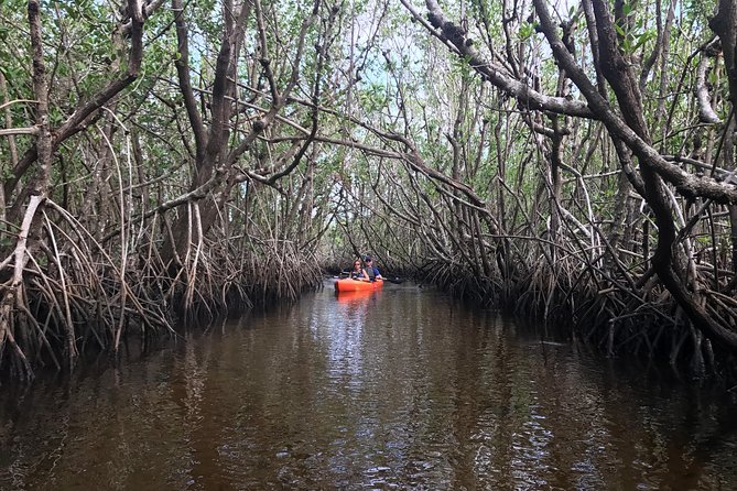 Manatees and Mangrove Tunnels Small Group Kayak Tour - Common questions