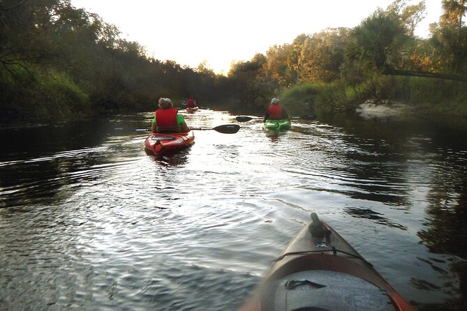 Manatees/Sunset/Bioluminescence Tour - Traveler Photos