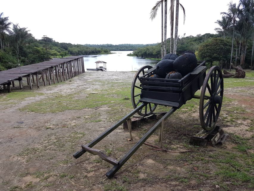 Manaus: Rubber Museum Seringal Museum - Cultural Exploration