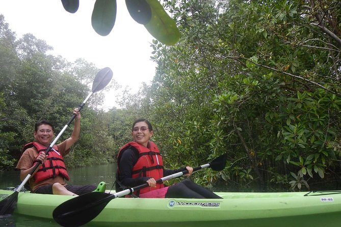 Mangrove Kayaking Adventure in Singapore - Tips for Participants