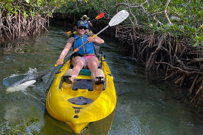 Mangrove Tunnel Kayak Adventure in Key Largo - Booking Information and Company Details