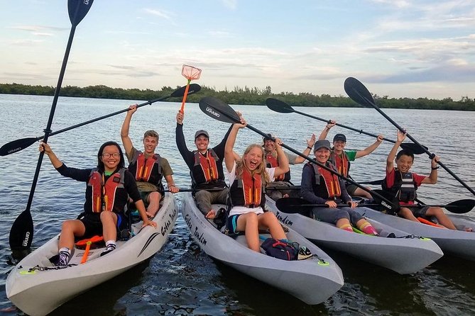 Mangrove Tunnel, Manatee and Dolphin Kayak Tour of Cocoa Beach - Tour Safety and Comfort