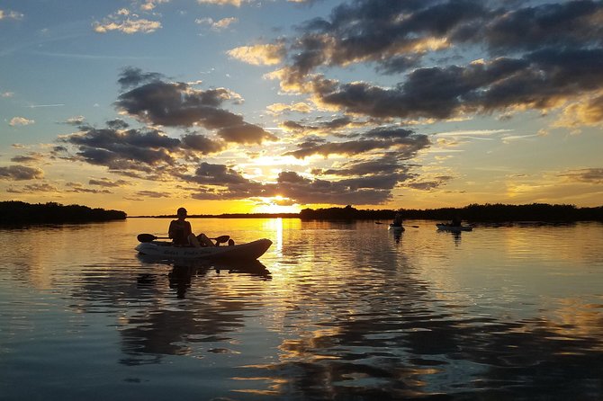 Mangrove Tunnels, Manatee, and Dolphin Sunset Kayak Tour With Fin Expeditions - Tour Experience and Wildlife Encounters