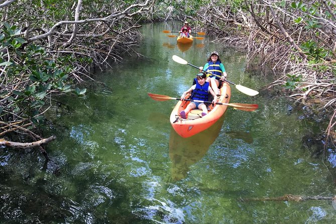 Mangroves and Manatees - Guided Kayak Eco Tour - Customer Reviews