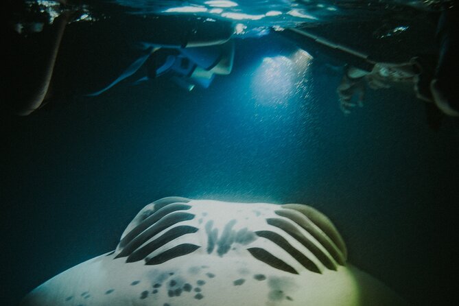 Manta Ray Snorkeling by Night in Kailua-Kona, Hawaii - Cancellation Policy Details