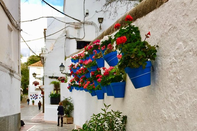 Marbella Old Town Group Tour With a True Local - Unique Tour Experiences