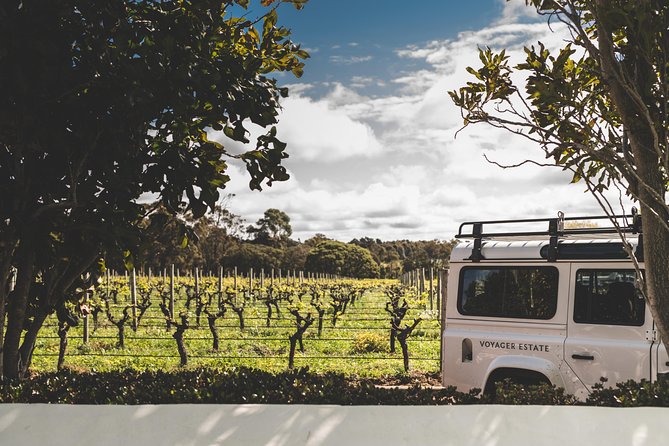 Margaret River Winery Tour and Tasting Including 7-Course Meal - Customer Reviews