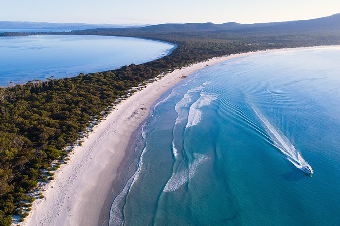 Maria Island Cruise and Guided Walk Day Tour With Lunch and Drinks - Recommendations and Testimonials