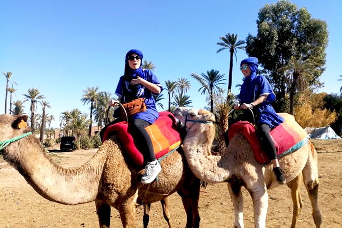 Marrakech Camel Ride & Quad Bike Experience in the Oasis Palmeraie - Getting There