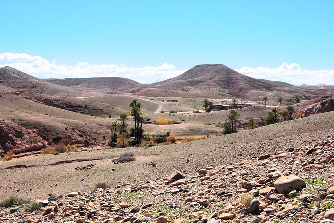 Marrakech Desert Buggy Tour Including Berber Tea Break and Transfer - Customer Reviews and Ratings Overview