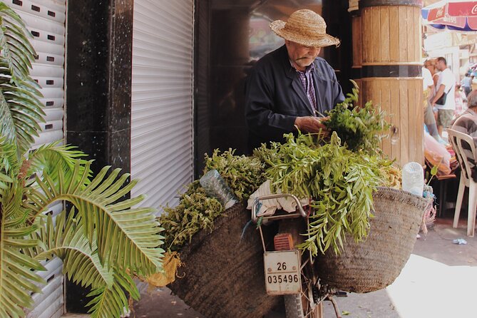 Marrakech Private Tour (Mar ) - Additional Information and Resources