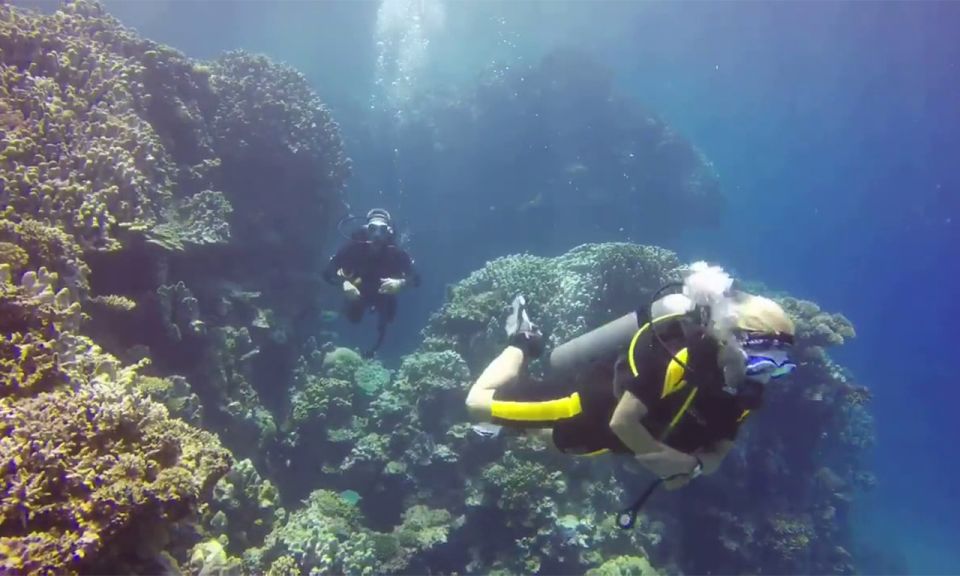 Marsa Alam: Marsa Mubarak and Marsa El Shona Snorkeling Tour - Accessibility and Inclusions