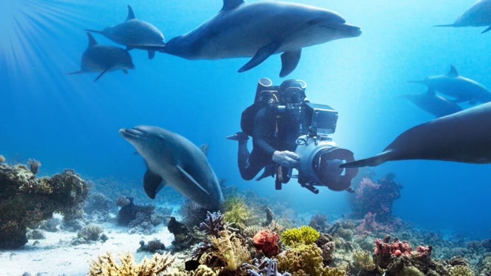 Marsa Alam: Sataya Reefs Dolphin Snorkel Cruise With Lunch - Customer Reviews