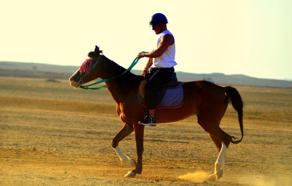 Marsa Alam: Sea and Desert Horse Riding Tour - Location Specifics