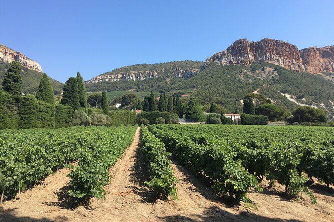 Marseille Shore Excursion - Private Full Day Wine Tour in Provence - Common questions