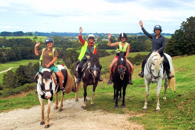 Matakana Art & Horse Riding Experience Private Tour From Auckland - Customer Reviews