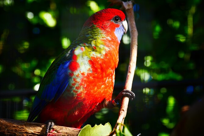 Matakana Sculptureum Gardens and Gallery Admission (Mar ) - Traveler Reviews and Ratings