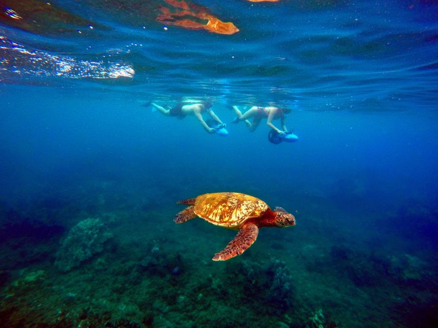 Maui: Guided Sea Scooter Snorkeling Tour - Customer Reviews