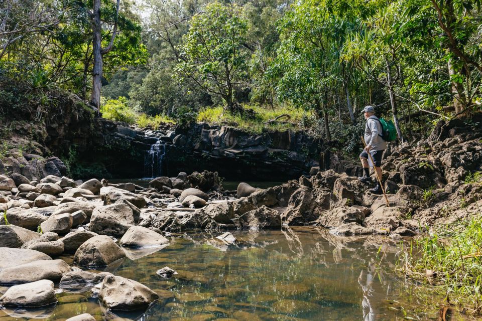Maui: Hike to the Rainforest Waterfalls With a Picnic Lunch - Customer Reviews Highlights