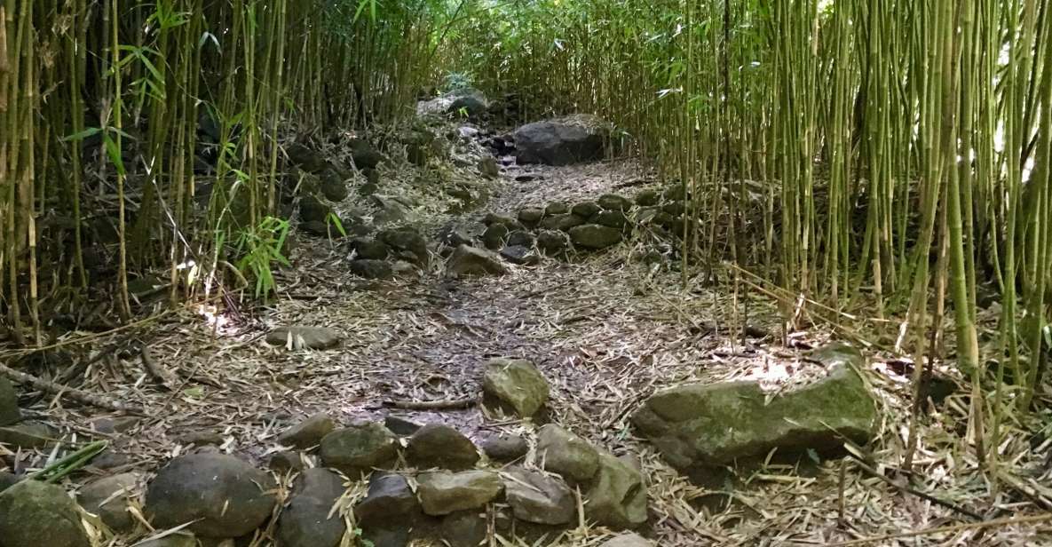 Maui: Private Jungle and Waterfalls Hiking Adventure - Hiking Highlights and Natural Encounters