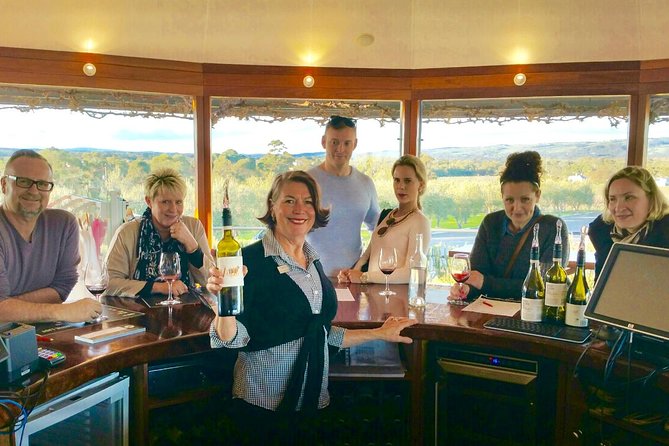 McLaren Vale Small Group Wine Tour - Experience Highlights