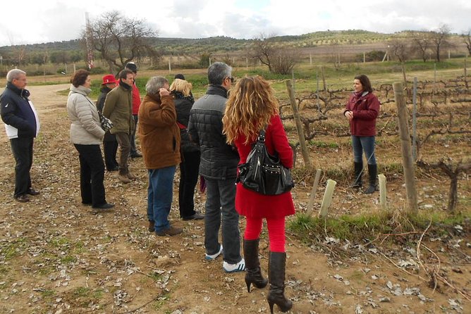 Medieval Castles, Wineries Experience With Tasting From Madrid - Small-Group Advantage