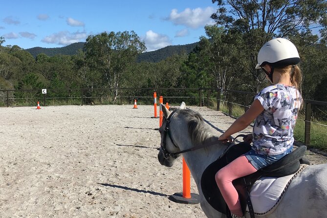 Meet the Animals: Small-Group Farm Tour, Brisbane (Mar ) - Common questions