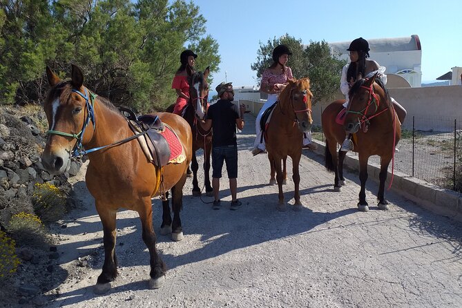 Megalochori Horseback Excursion  - Santorini - Pricing and Discounts