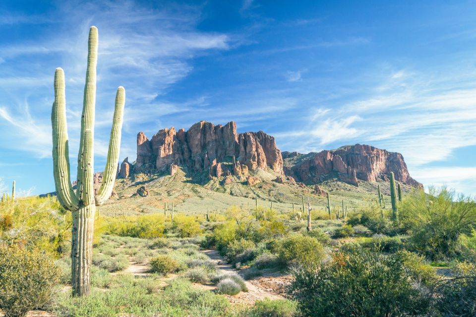 Metro Phoenix: Apache Trail Tour With Canyon Lake Cruise - Customer Feedback