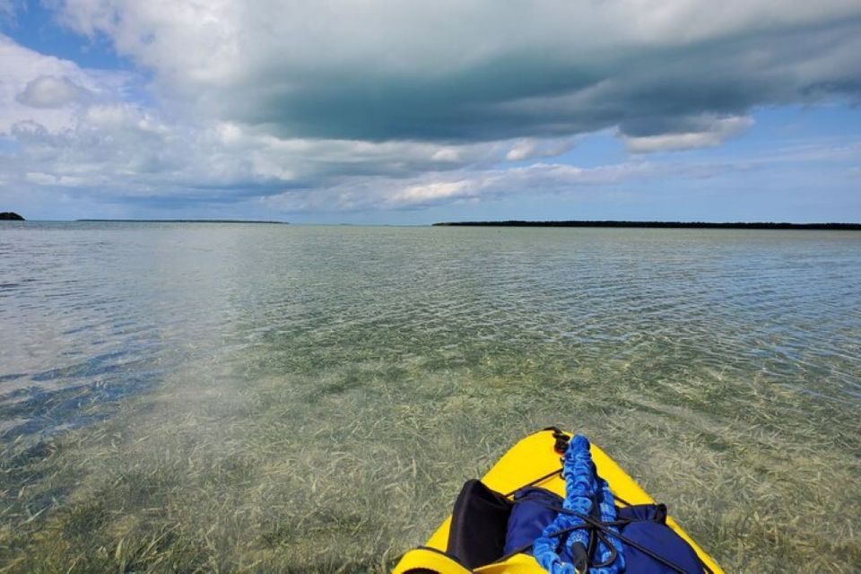 Miami: Everglades National Park Hiking and Kayaking Day Trip - Last Words