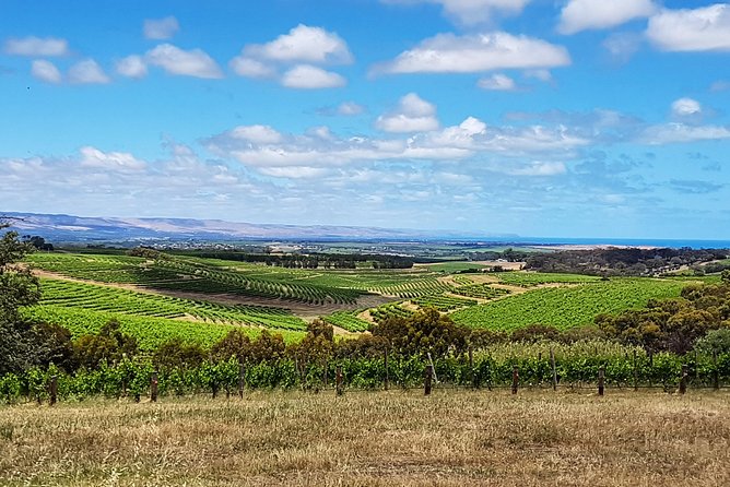 Micro-Group Mclaren Vale Wine Tour From Adelaide - Legal and Copyright Information