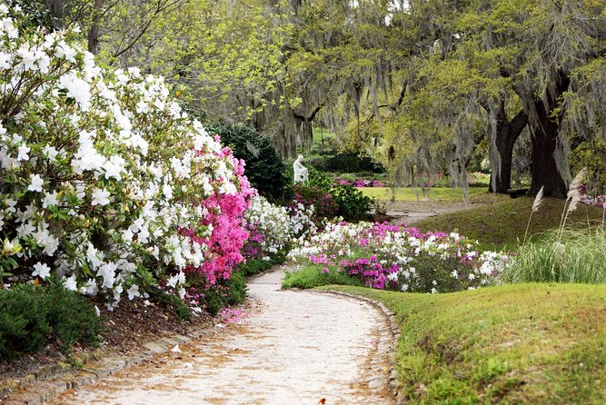 Middleton Place Admission With Self Guided Tour and Lunch - Traveler Resources