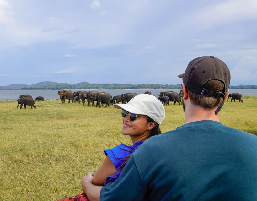 Minneriya National Park Half Day Sri Lanka Jeep Safari - Booking Details