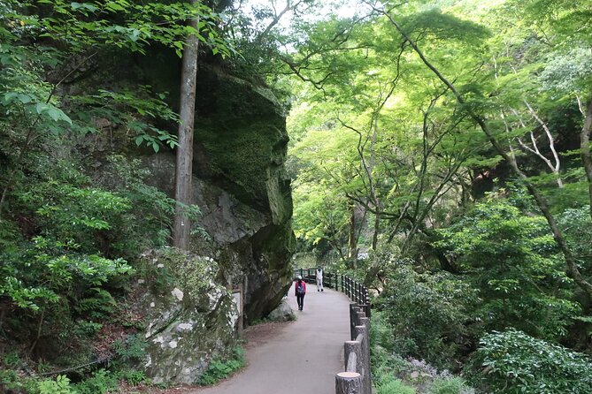 Minoh Waterfall and Nature Walk Through the Minoh Park - Booking Information