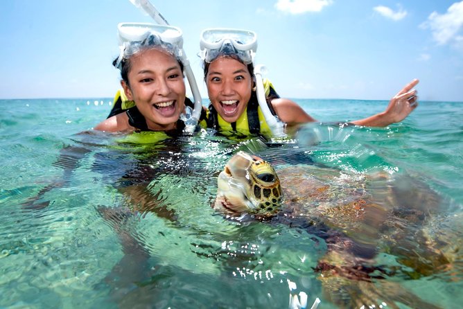 Miyakojima / Snorkel Tour to Swim With Sea Turtles - Additional Information