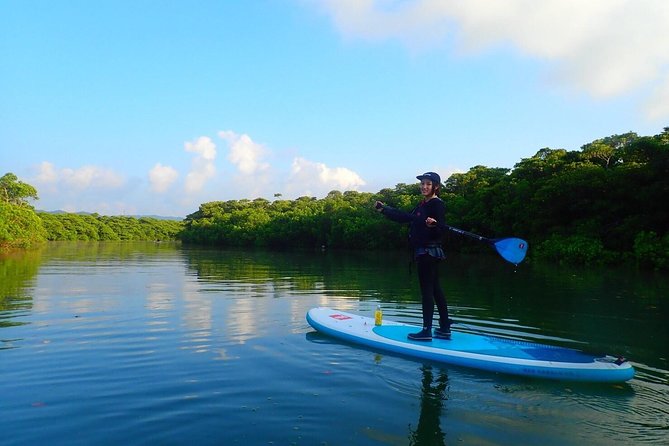 Miyara River 90-Minute Small-Group SUP or Canoe Tour (Mar ) - Guidelines and Recommendations